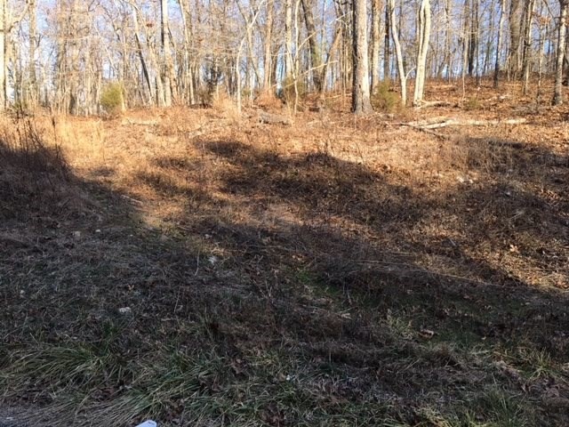 49 Co Road Athens, TN 37303 - Photo 2 of 3