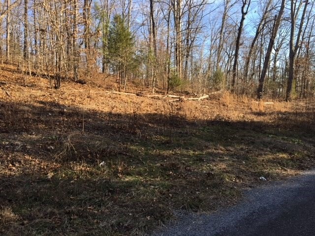 49 Co Road Athens, TN 37303 - Photo 3 of 3