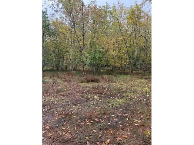 $169,900 | Mountain Home Drive, Brownsville, OR 97327