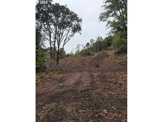 $169,900 | Mountain Home Drive, Brownsville, OR 97327