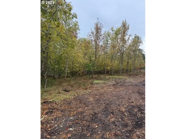 $169,900 | Mountain Home Drive, Brownsville, OR 97327