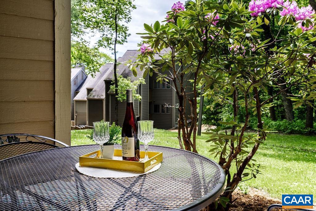 490 Three Ridges Roseland, VA 22967 - Photo 22 of 27 a small pool with an outdoor seating