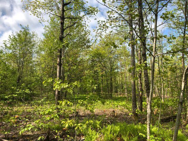 0 Blanchard Cross Road Bowdoin, ME 04287 - Photo 1 of 5 20190605145403412495000000-o