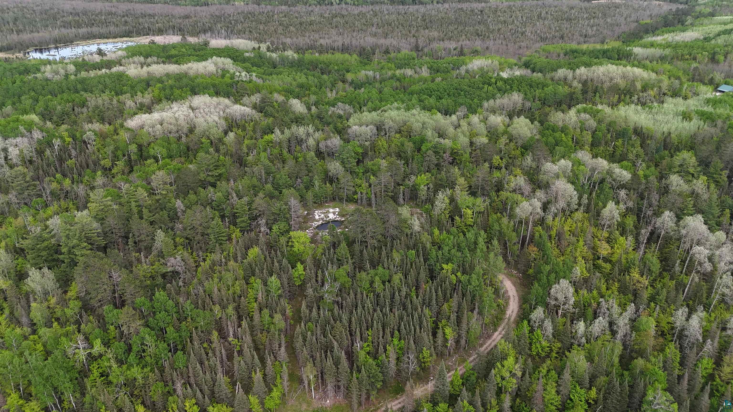 7316 Crane Lake Road Crane Lake, MN 55725 - Photo 12 of 21