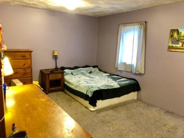 932 North Schoenherr Road Custer, MI 49405 - Photo 26 of 30 IMG_7663