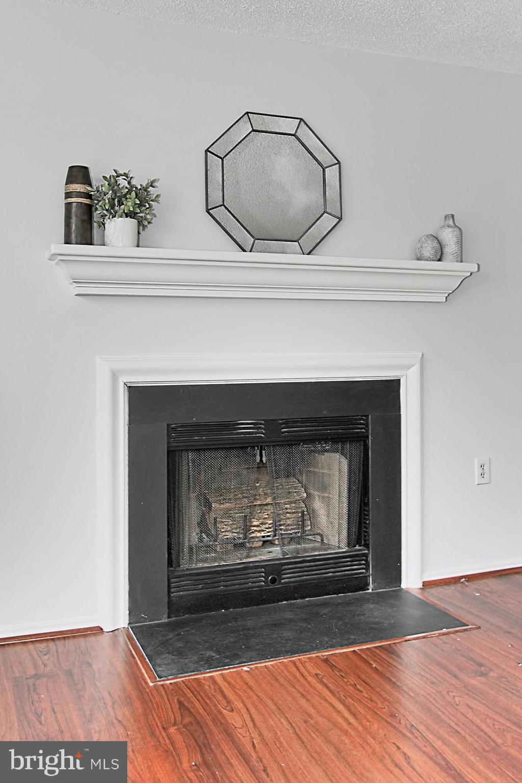 20950 Timber Ridge Terrace, Unit 201 Ashburn, VA 20147 - Photo 18 of 37 Wood burning fireplace