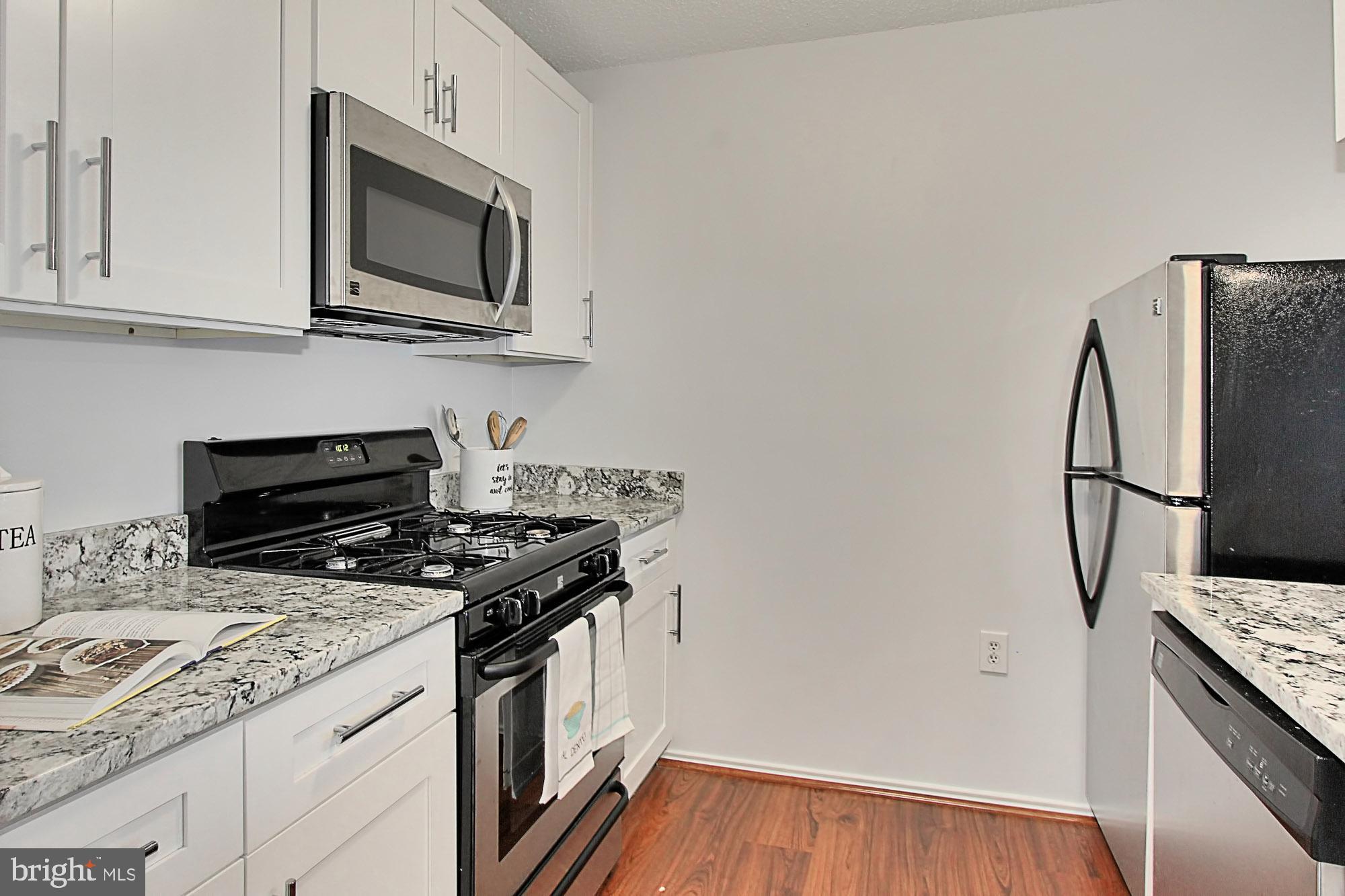 20950 Timber Ridge Terrace, Unit 201 Ashburn, VA 20147 - Photo 8 of 37 Renovated Kitchen
