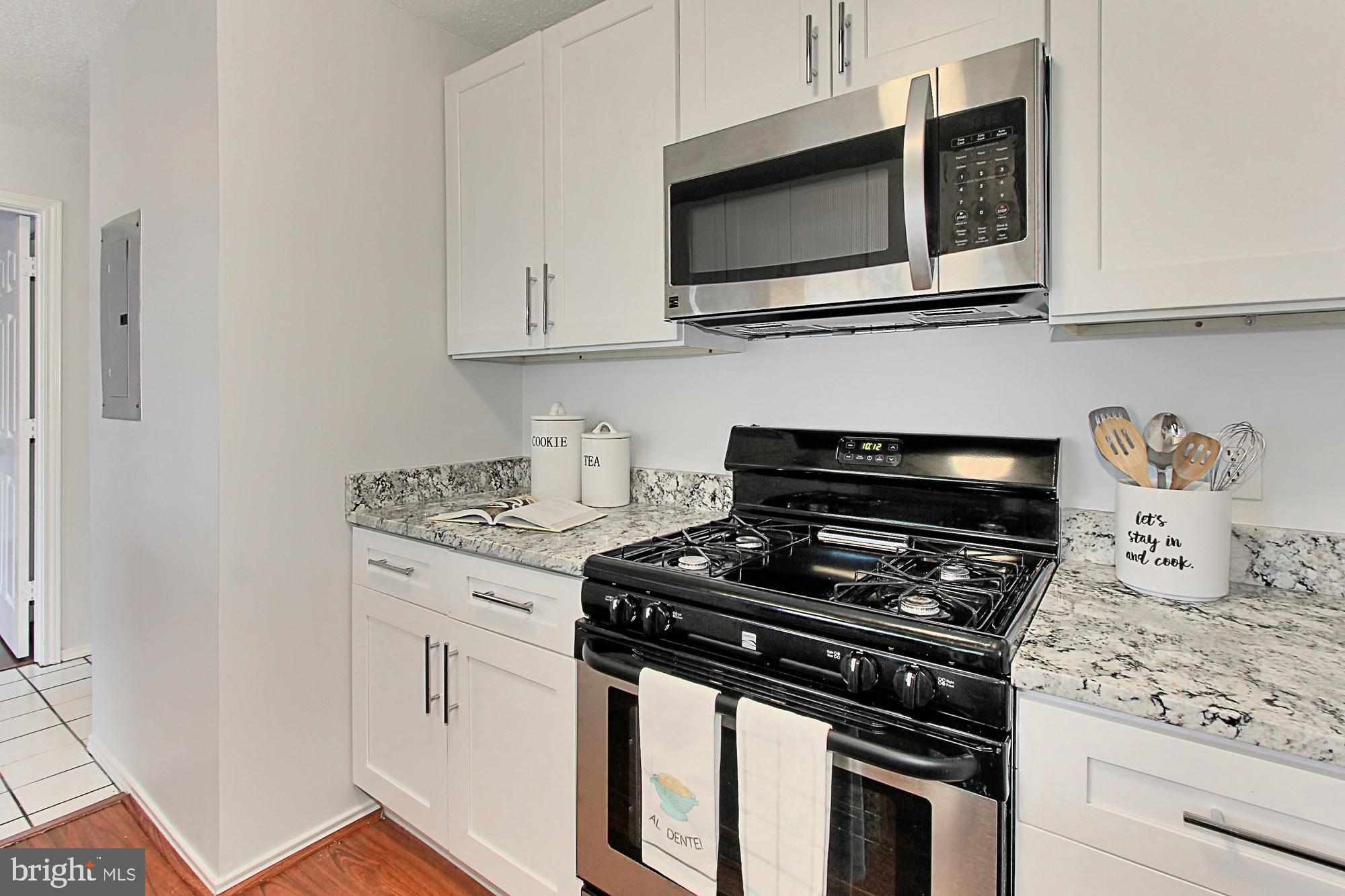 20950 Timber Ridge Terrace, Unit 201 Ashburn, VA 20147 - Photo 9 of 37 Renovated Kitchen