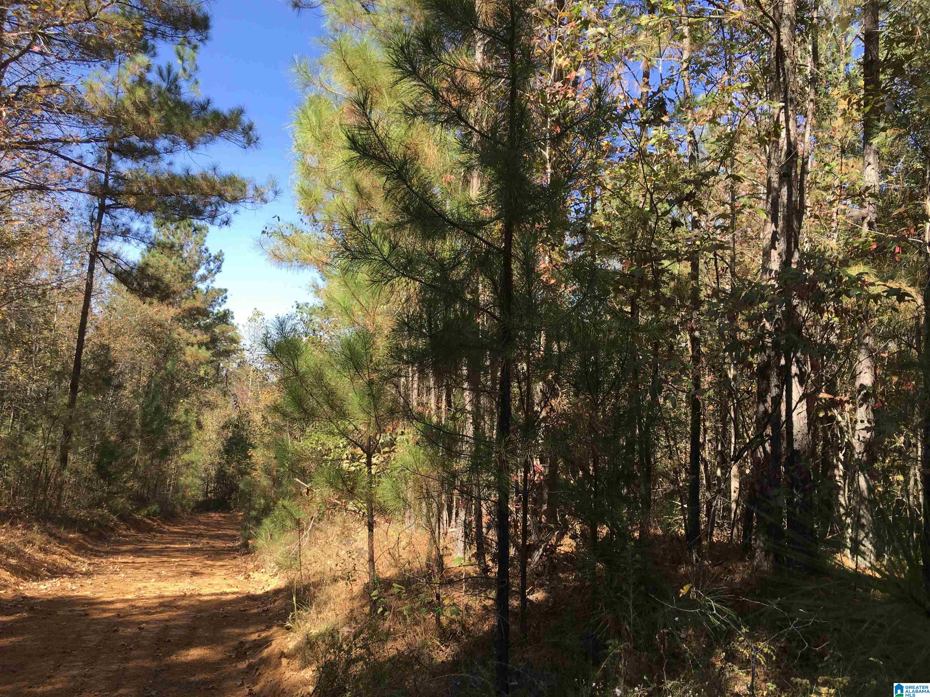 8760 Marsh Mountain Road, Unit 223 Pinson, AL 35126 - Photo 42 of 51