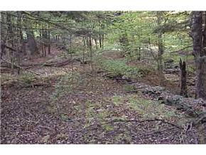 Off Whitcomb Hill Road Stockbridge, VT 05746 - Photo 3 of 6
