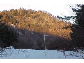 Off Whitcomb Hill Road Stockbridge, VT 05746 - Photo 4 of 6