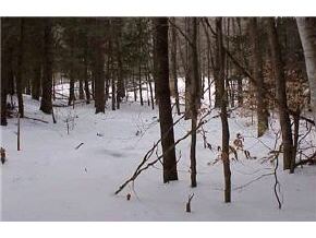 Off Whitcomb Hill Road Stockbridge, VT 05746 - Photo 5 of 6