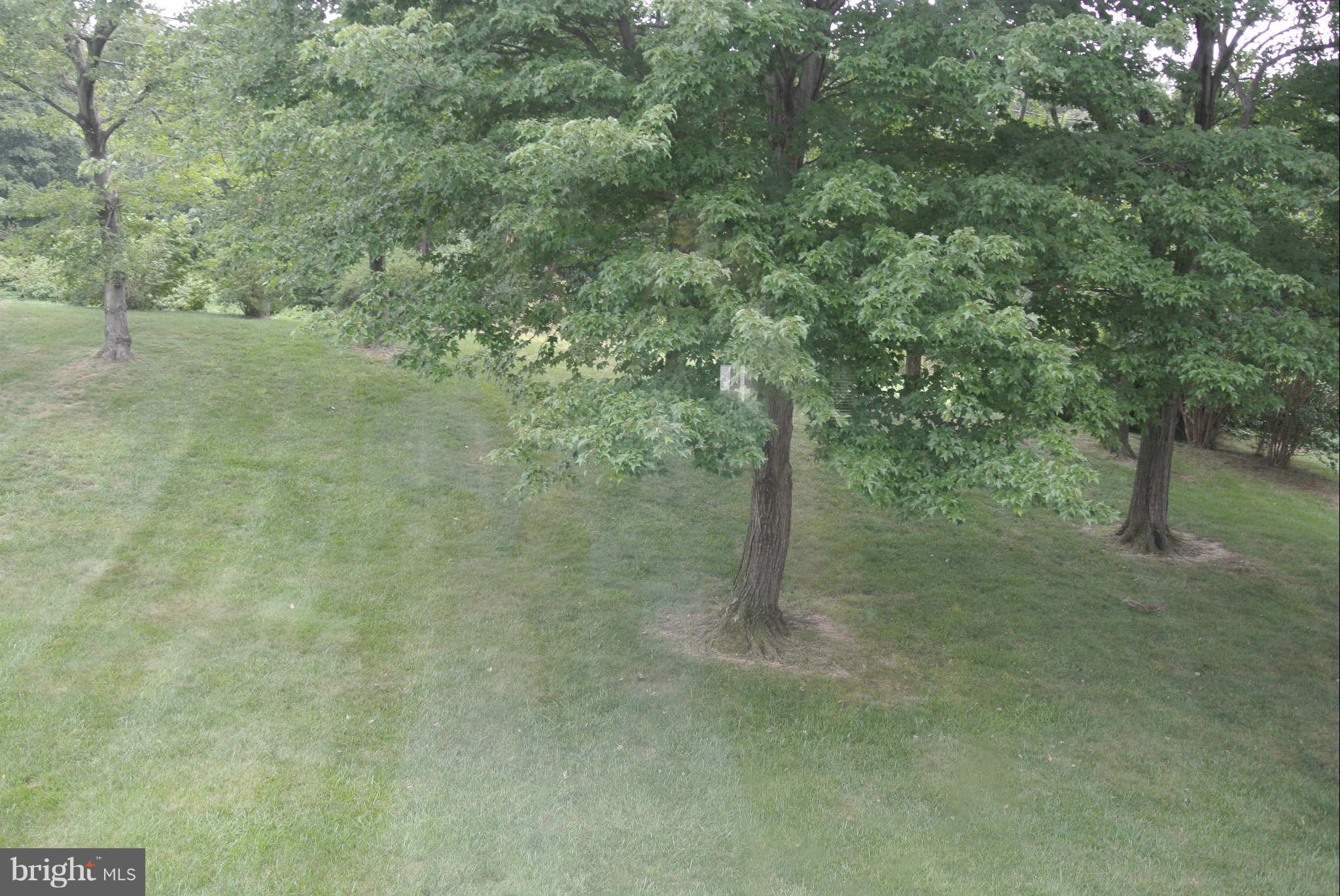 6735 Fordcrest Road Baltimore, MD 21237 - Photo 17 of 22 View from DR