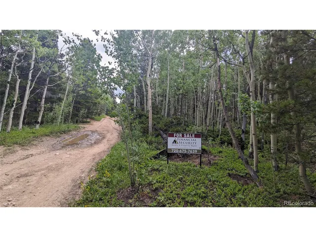 $73,750 | Roy Smith Road, Central City, CO 80427