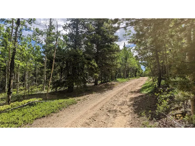 $73,750 | Roy Smith Road, Central City, CO 80427