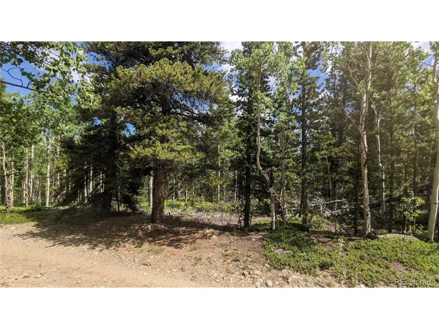 $73,750 | Roy Smith Road, Central City, CO 80427