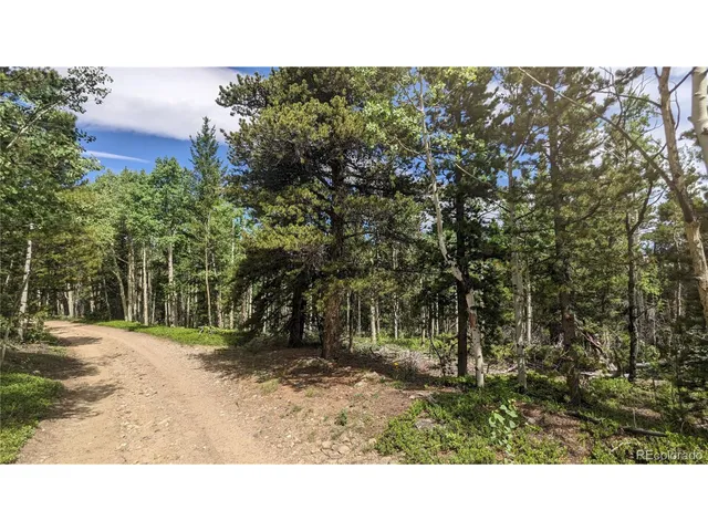 $73,750 | Roy Smith Road, Central City, CO 80427