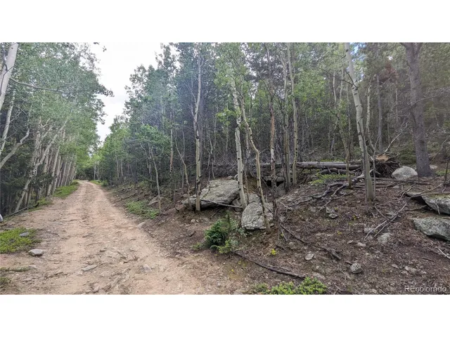 $73,750 | Roy Smith Road, Central City, CO 80427