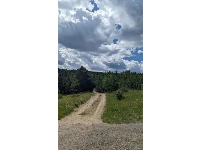 $73,750 | Roy Smith Road, Central City, CO 80427