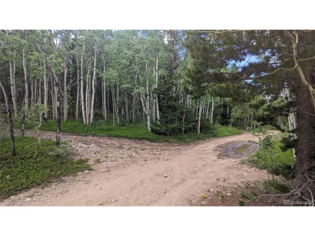 $73,750 | Roy Smith Road, Central City, CO 80427
