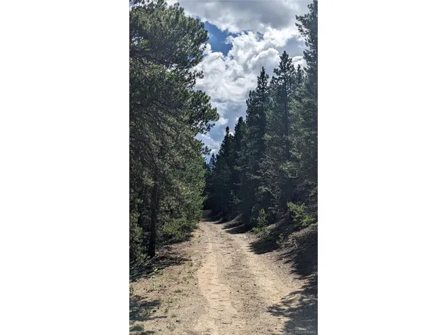 $73,750 | Roy Smith Road, Central City, CO 80427