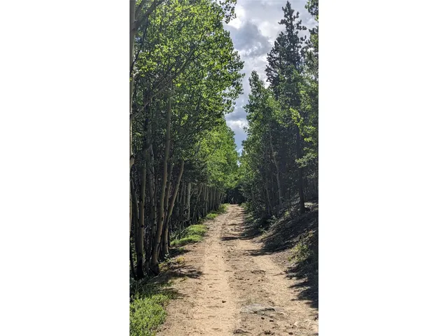 $73,750 | Roy Smith Road, Central City, CO 80427