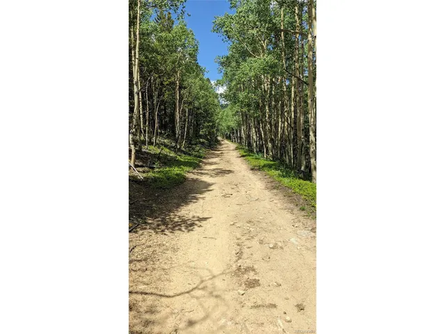 $73,750 | Roy Smith Road, Central City, CO 80427