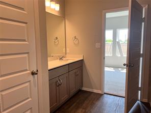13309 Riding Drive Manor, TX 78653 - Photo 14 of 34 Full bath featuring vanity and dark wood-style floors
