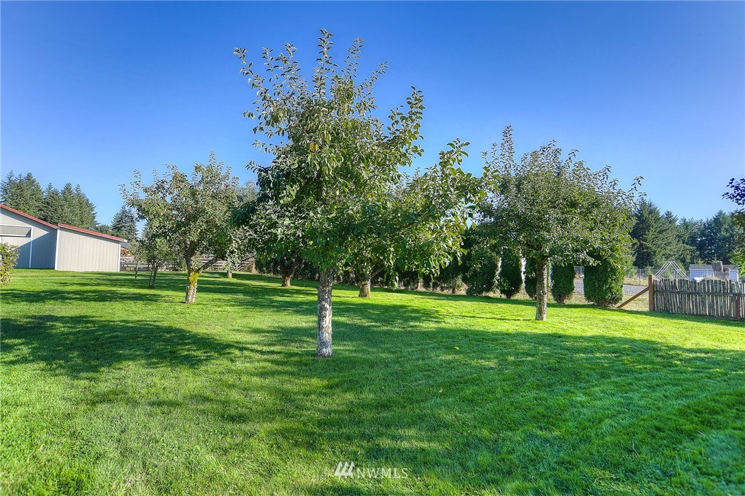 18504 Apricot Street Southwest Rochester, WA 98579 - Photo 18 of 25