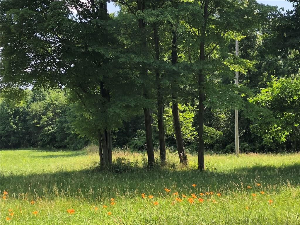 Lot Sandy Lake Polk Road Sandy Lake, PA 16145 - Photo 2 of 4