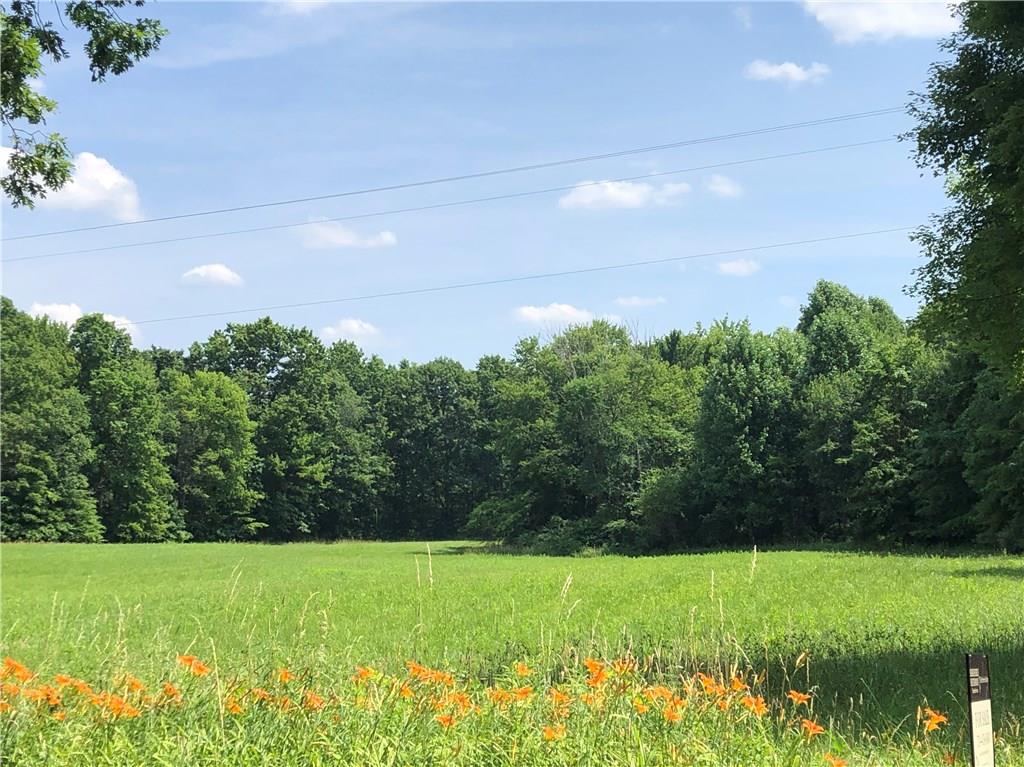 Lot Sandy Lake Polk Road Sandy Lake, PA 16145 - Photo 4 of 4