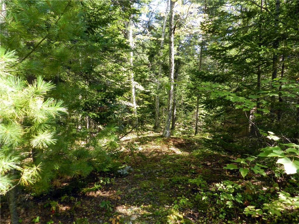 12 Berry Pit Road Hudson, ME 04449 - Photo 13 of 24 Photo