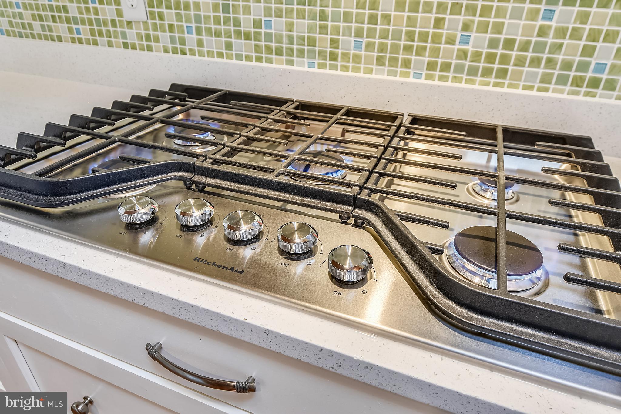 508 Tulip Road Annapolis, MD 21403 - Photo 15 of 61 Professional Downdraft Cooktop