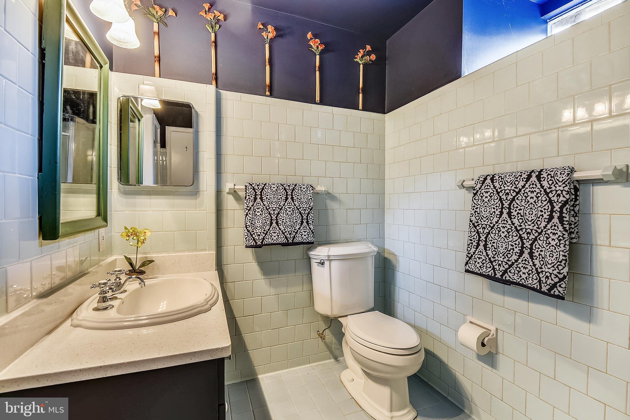 508 Tulip Road Annapolis, MD 21403 - Photo 30 of 61 Lower Level Bath