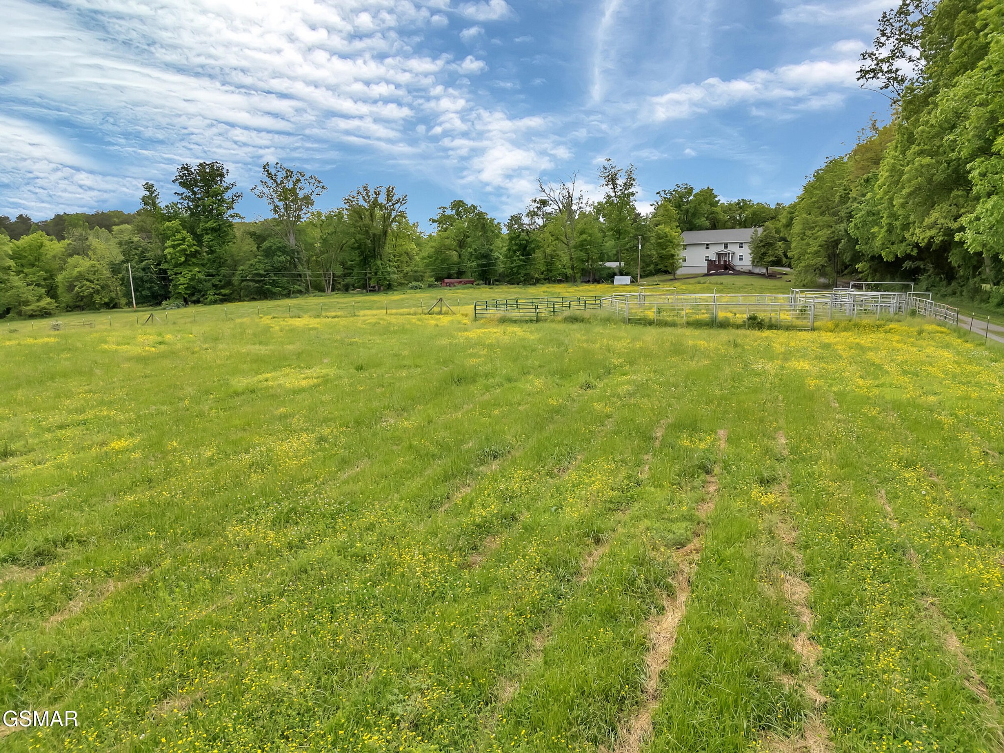 6525 Idumea Road Corryton, TN 37721 - Photo 62 of 64