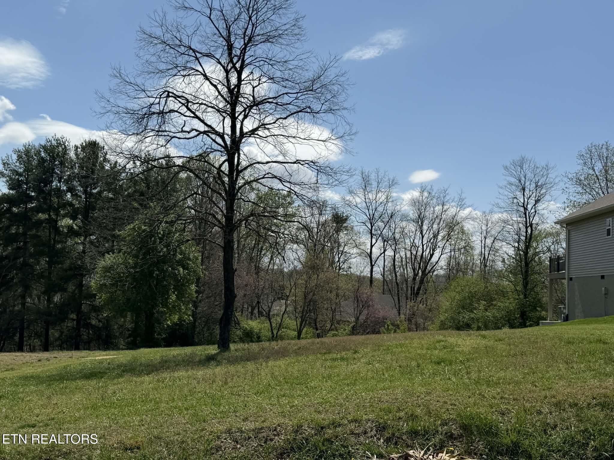 323 Tigitsi Way Loudon, TN 37774 - Photo 4 of 6 Front