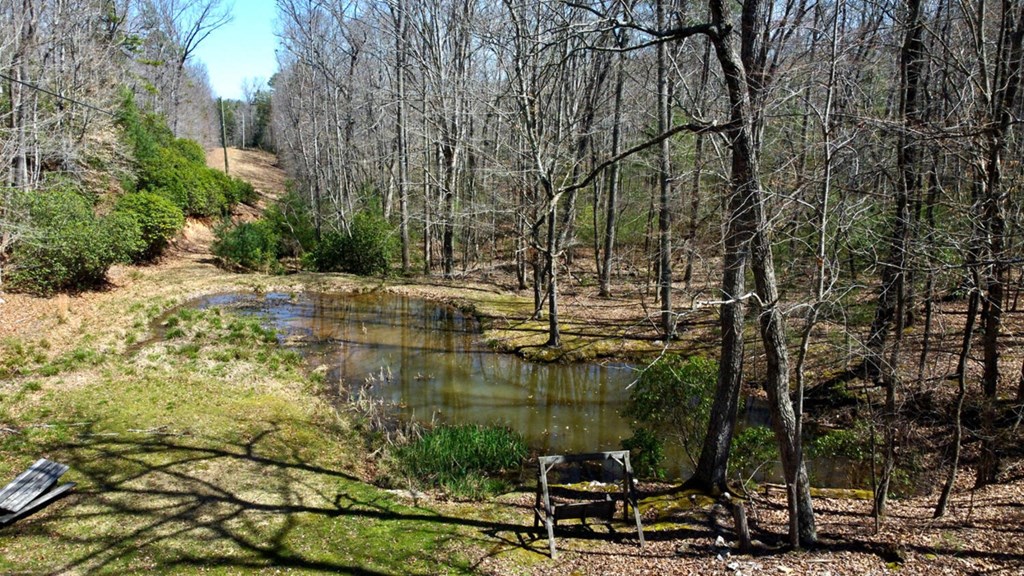 633 Timber Ridge Road South Blairsville, GA 30512 - Photo 5 of 70
