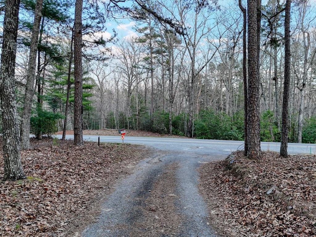633 Timber Ridge Road South Blairsville, GA 30512 - Photo 9 of 70