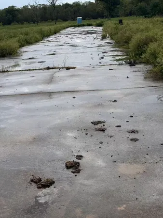 a view of beach and ocean view