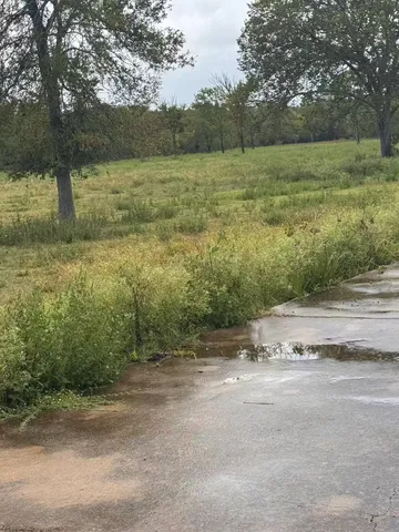 a view of a yard with a tree