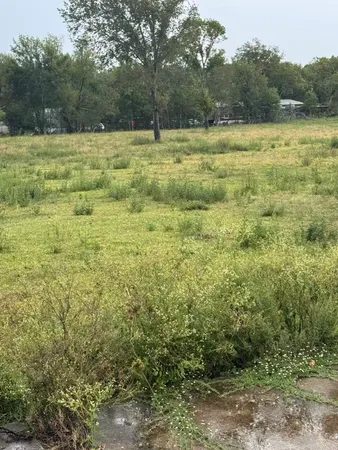a view of a yard with trees