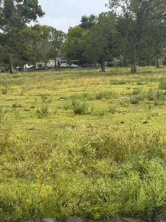 a view of a field with trees