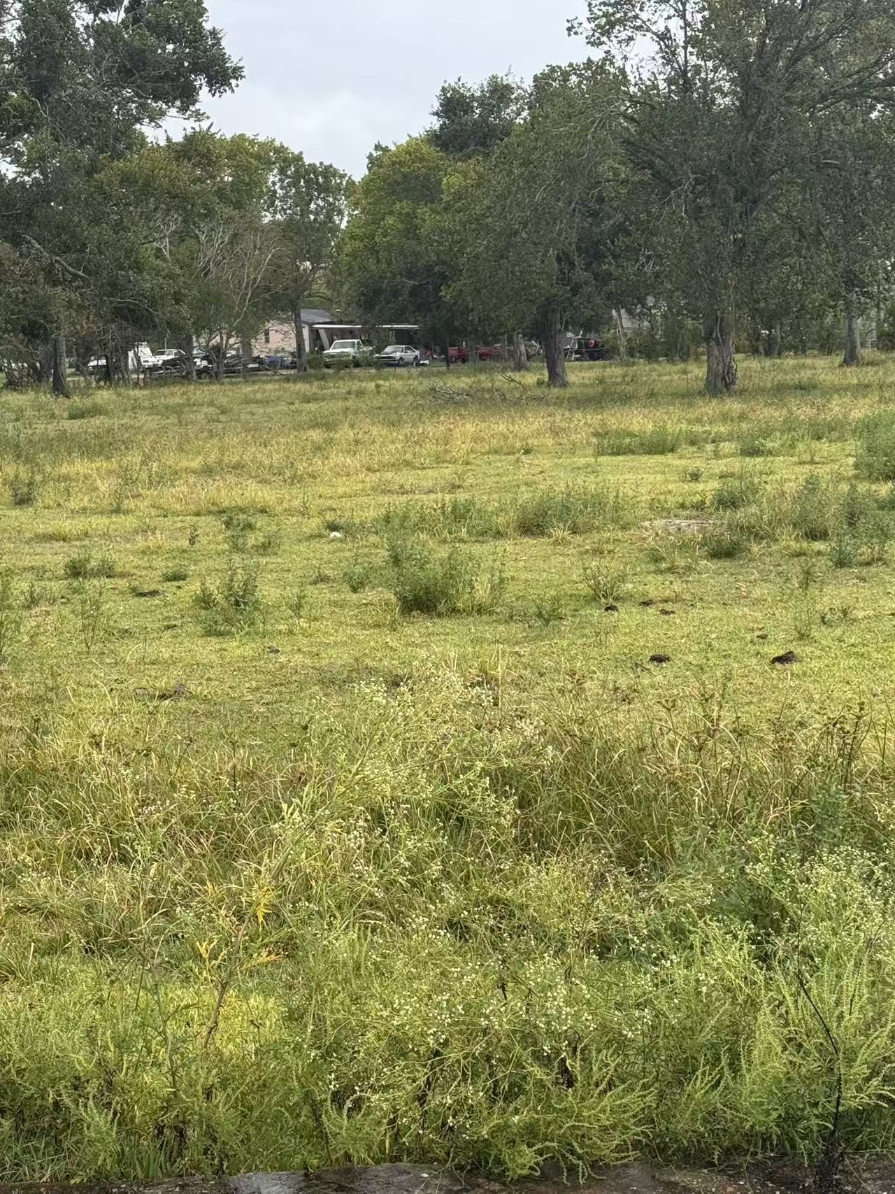 0 Fm 521 Highway North Rosharon, TX 77583 - Photo 15 of 24 a view of a yard with trees