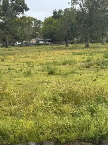 a view of a yard with trees