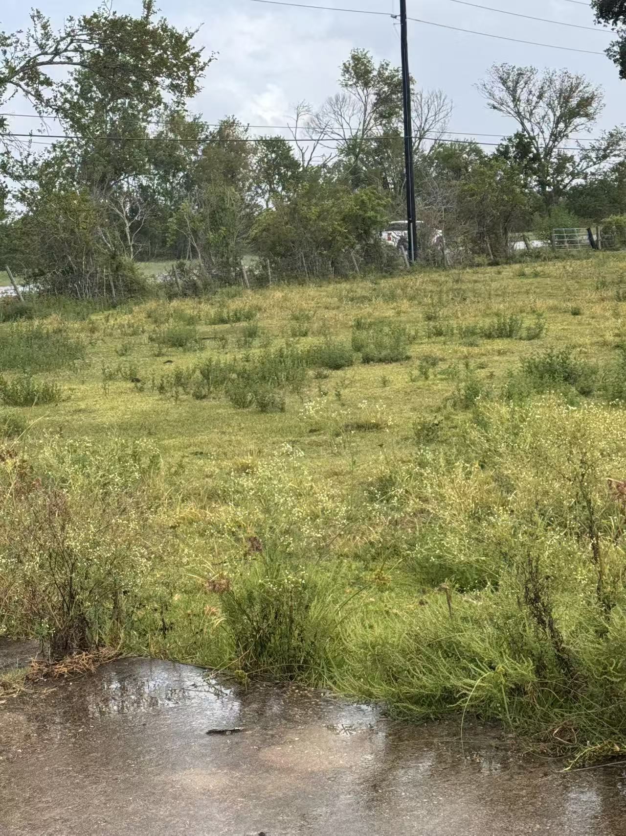 0 Fm 521 Highway North Rosharon, TX 77583 - Photo 16 of 24 a view of a field with trees
