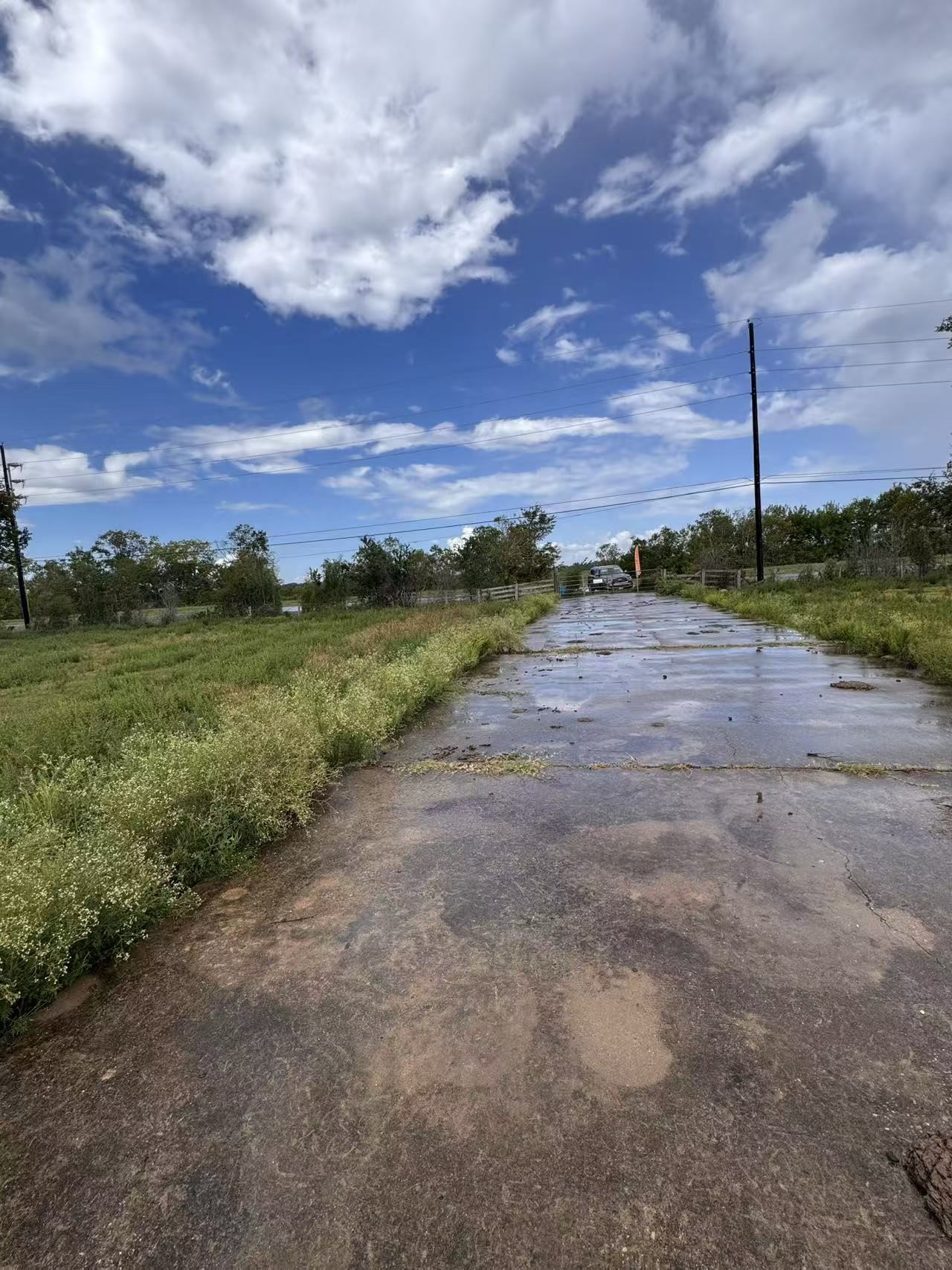 0 Fm 521 Highway North Rosharon, TX 77583 - Photo 17 of 24 a view of a yard with an ocean beach