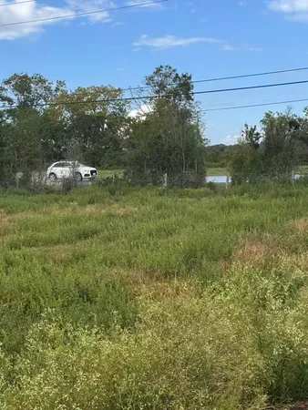 a view of a park