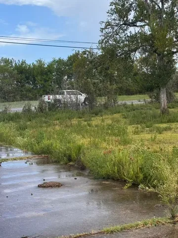 a view of a field with an trees