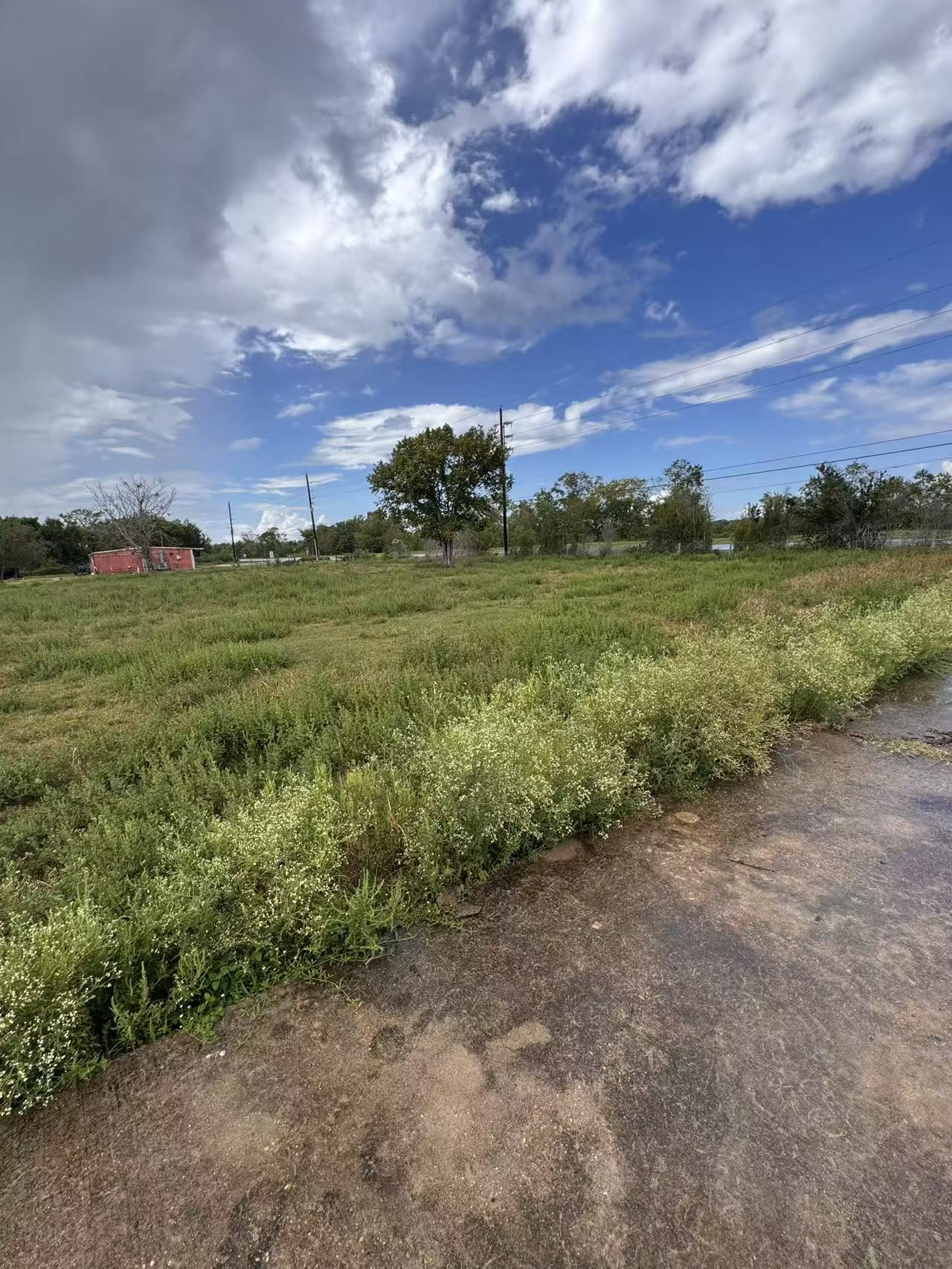 0 Fm 521 Highway North Rosharon, TX 77583 - Photo 21 of 24 a view of a field with an ocean