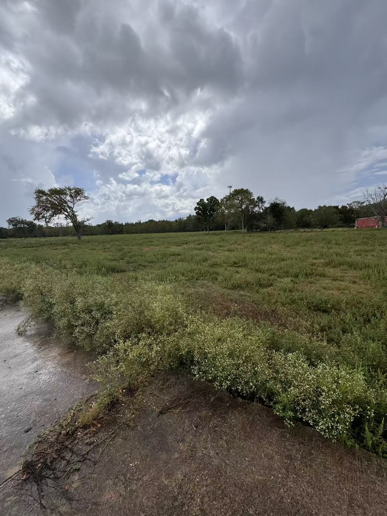 0 Fm 521 Highway North Rosharon, TX 77583 - Photo 22 of 24 a view of a field with an trees